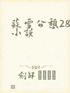 苏雪公憩28篇小说