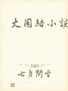 大团结小说全文