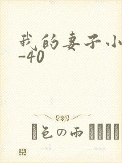 我的妻子小谨1-40