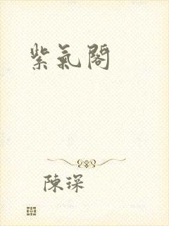 紫气阁封面