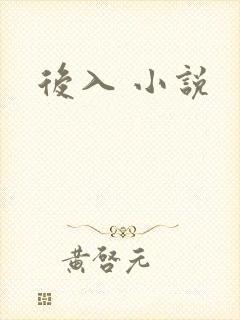 后入 小说封面