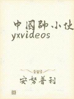 中国帅小伙gayxvideos封面