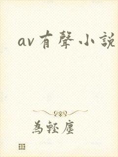 av有声小说