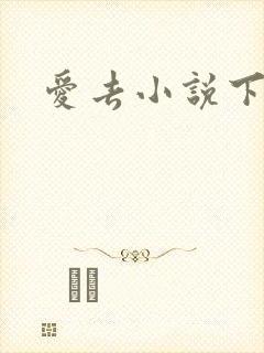 爱去小说下载网