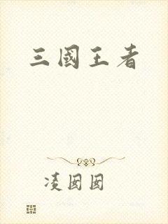 三国王者封面