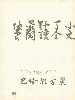 他最野了小说免费阅读全文