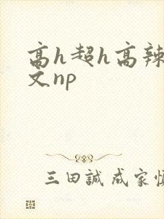 高h超h高辣h文np封面