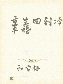 重生回到冷战前军婚