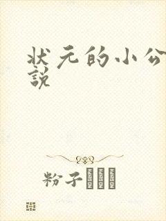 状元的小公主小说