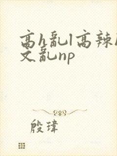 高h乱l高辣h文乱np