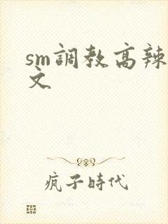 sm调教高辣h文