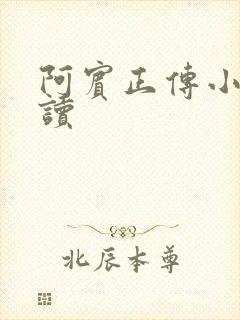 阿宾正传小说在读