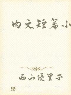 肉文短篇小说封面