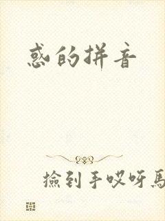 惑的拼音封面