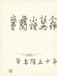 恋母小说全文免费阅读无弹窗笔趣阁封面