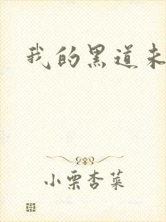 我的黑道未婚夫