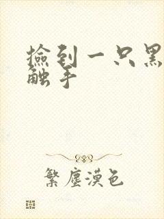 捡到一只黑心小触手