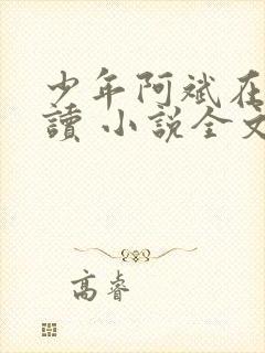 少年阿斌在线阅读 小说全文免费