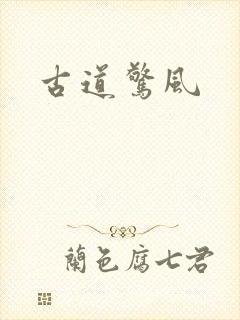 古道惊风封面