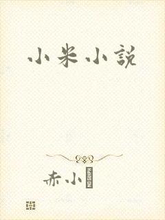 小米小说