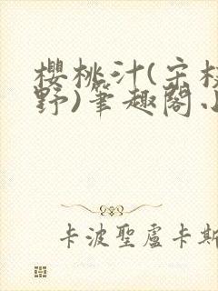 樱桃汁(宋枝江野)笔趣阁小说封面