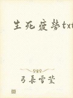 生死疲劳txt封面