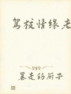 驾校情缘老赵封面