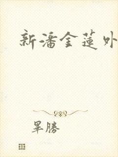 新潘金莲外传封面