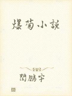 爆菊小说