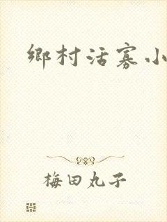 乡村活寡小说
