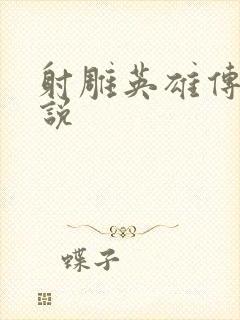 射雕英雄传 小说