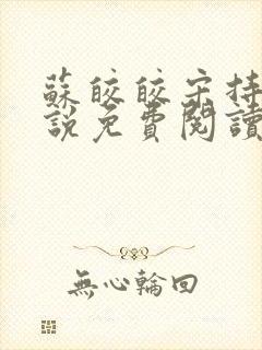 苏皎皎宋持的小说免费阅读