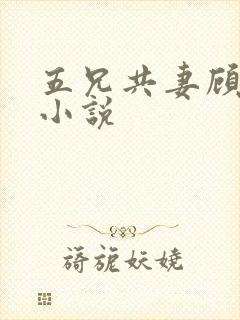 五兄共妻顾心儿小说