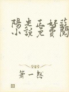 阳光正好苏玥玥小说免费阅读封面