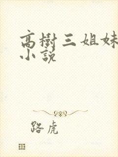 高树三姐妹有声小说封面