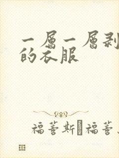 一层一层剥开我的衣服