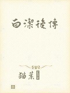 白洁后传