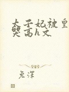 太子妃被皇上c哭高h文