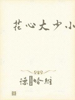 花心大少小说