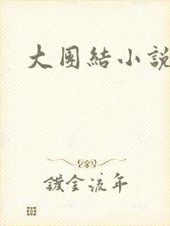 大团结小说下载