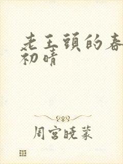 老王头的春天林初晴封面