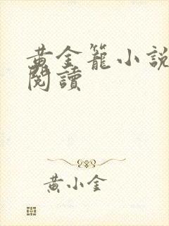 黄金笼小说免费阅读