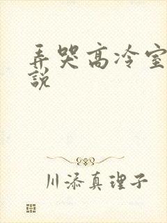 弄哭高冷室友小说
