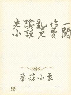 光阴乱作一团的小说免费阅读