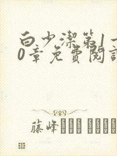 白少洁第1一40章免费阅读