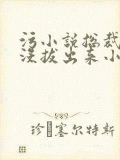 污小说总裁整夜没拔出来小说在线阅读