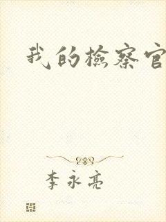 我的检察官先生