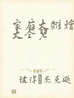 家庭大杂烩小说大全儿