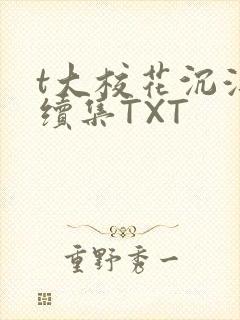 t大校花沉浮录续集TXT