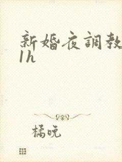 新婚夜调教1v1h封面